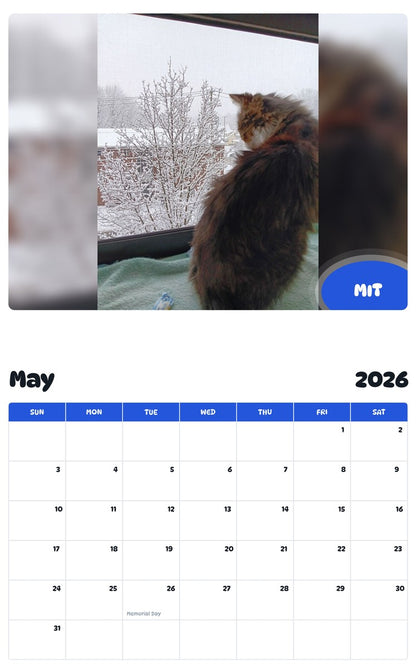 2026 - 2027 MIT - Pawidols Pet Calendar