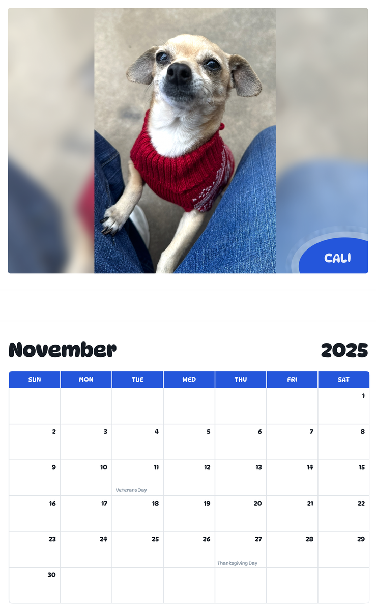 July 2025 - June 2026 Cali - Pawidols Pet Calendar
