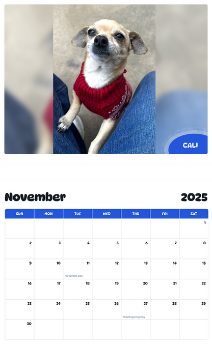 July 2025 - June 2026 Cali - Pawidols Pet Calendar