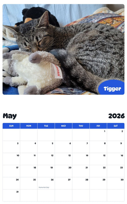 2026 - 2027 Tigger - Pawidols Pet Calendar