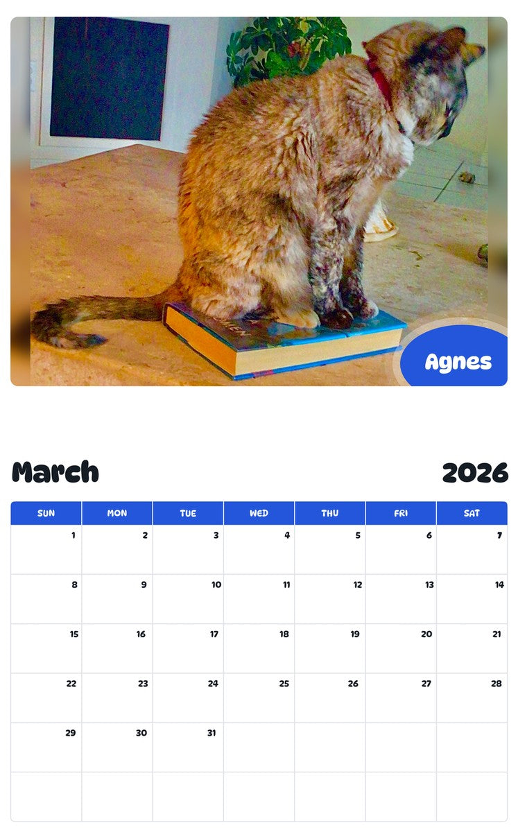 November 2025 - October 2026 Agnes - Pawidols Pet Calendar