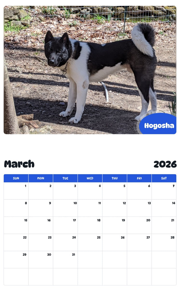 November 2025 - October 2026 Hogosha - Pawidols Pet Calendar