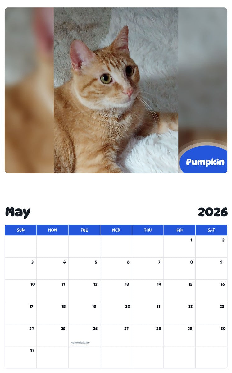 2026 - 2027 Pumpkin - Pawidols Pet Calendar