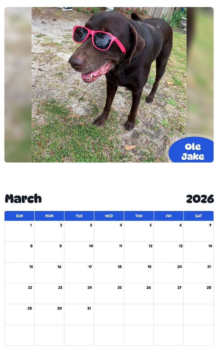 November 2025 - October 2026 Ole Jake - Pawidols Pet Calendar