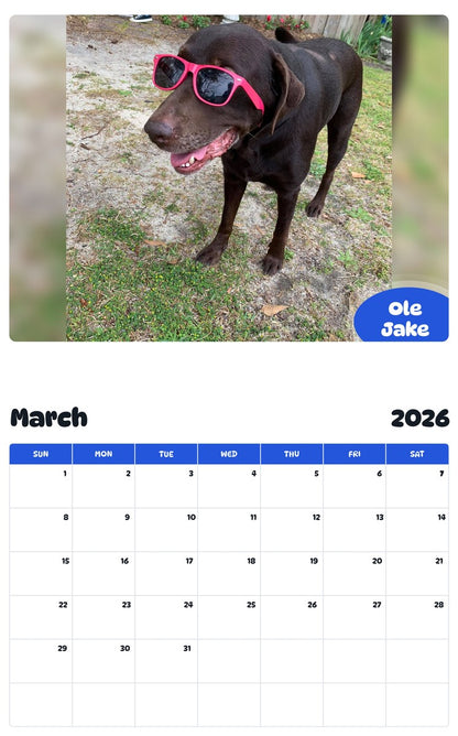 November 2025 - October 2026 Ole Jake - Pawidols Pet Calendar
