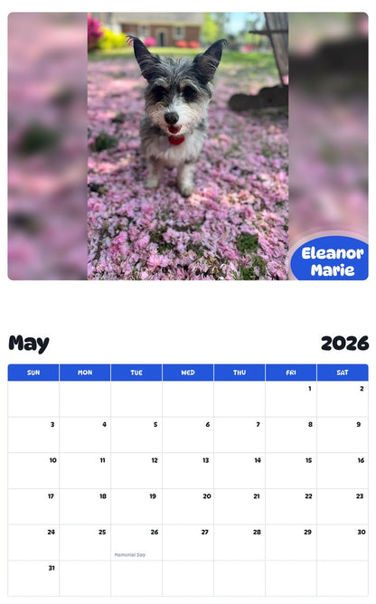 2026 - 2027 Eleanor Marie - Pawidols Pet Calendar