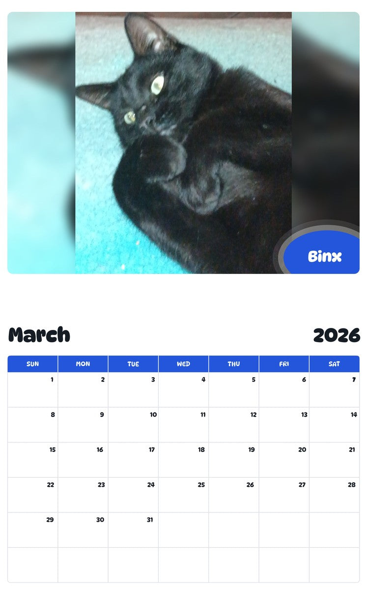November 2025 - October 2026 Binx - Pawidols Pet Calendar