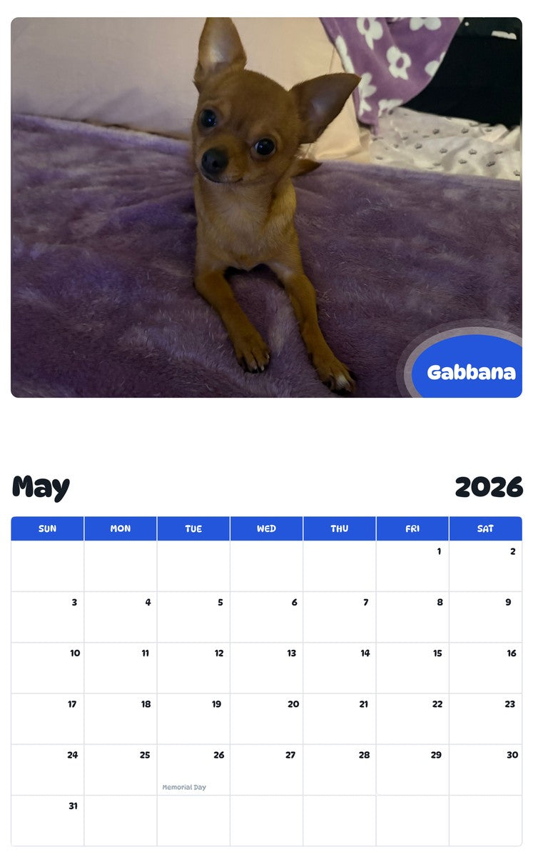 2026 - 2027 Gabbana - Pawidols Pet Calendar