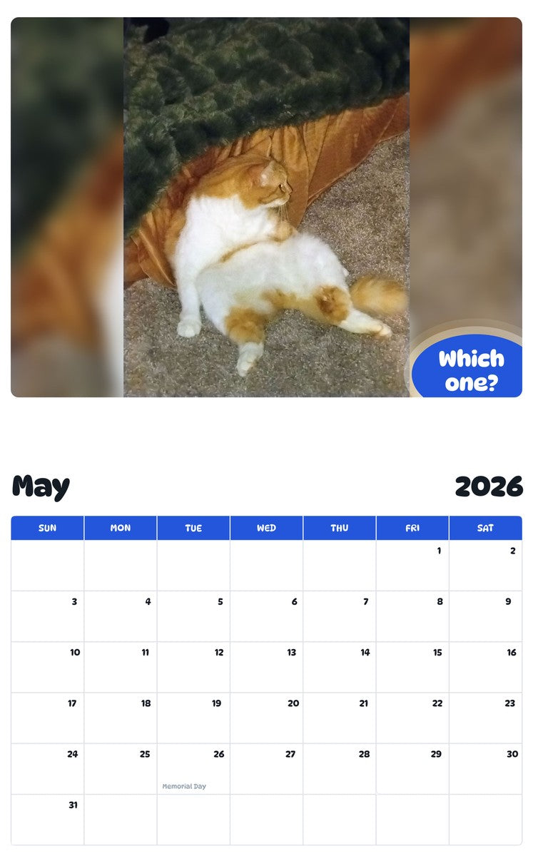 2026 - 2027 Which one? - Pawidols Pet Calendar