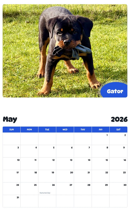 2026 - 2027 Gator - Pawidols Pet Calendar