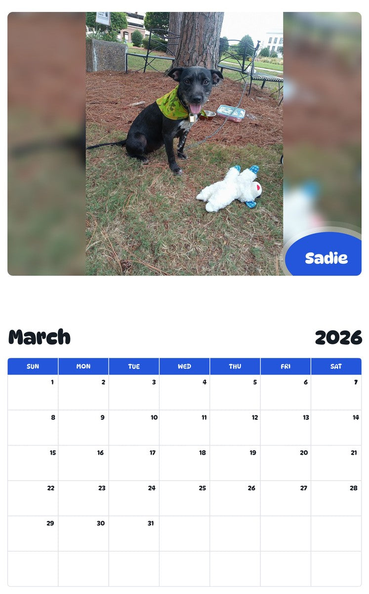 November 2025 - October 2026 Sadie - Pawidols Pet Calendar