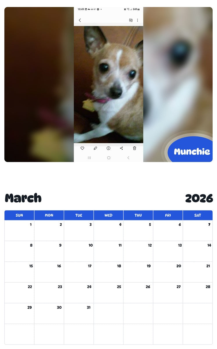 November 2025 - October 2026 Munchie - Pawidols Pet Calendar