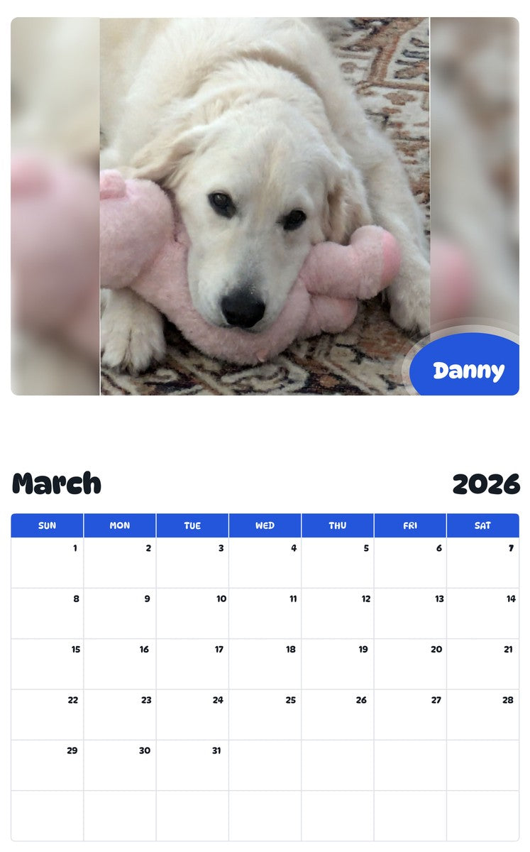 November 2025 - October 2026 Danny - Pawidols Pet Calendar