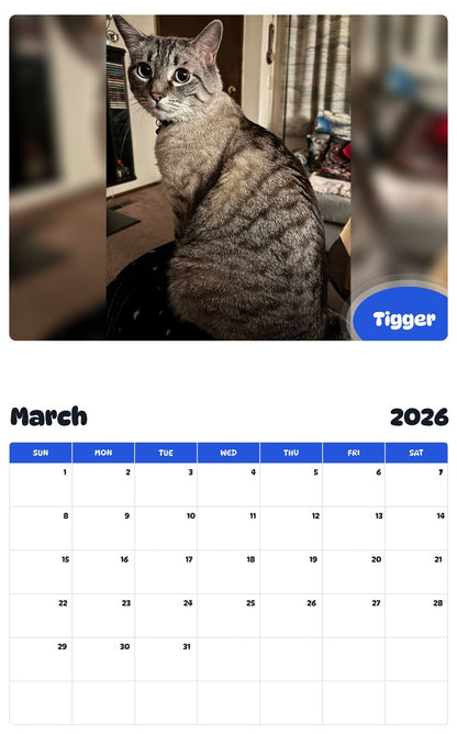November 2025 - October 2026 Tigger - Pawidols Pet Calendar