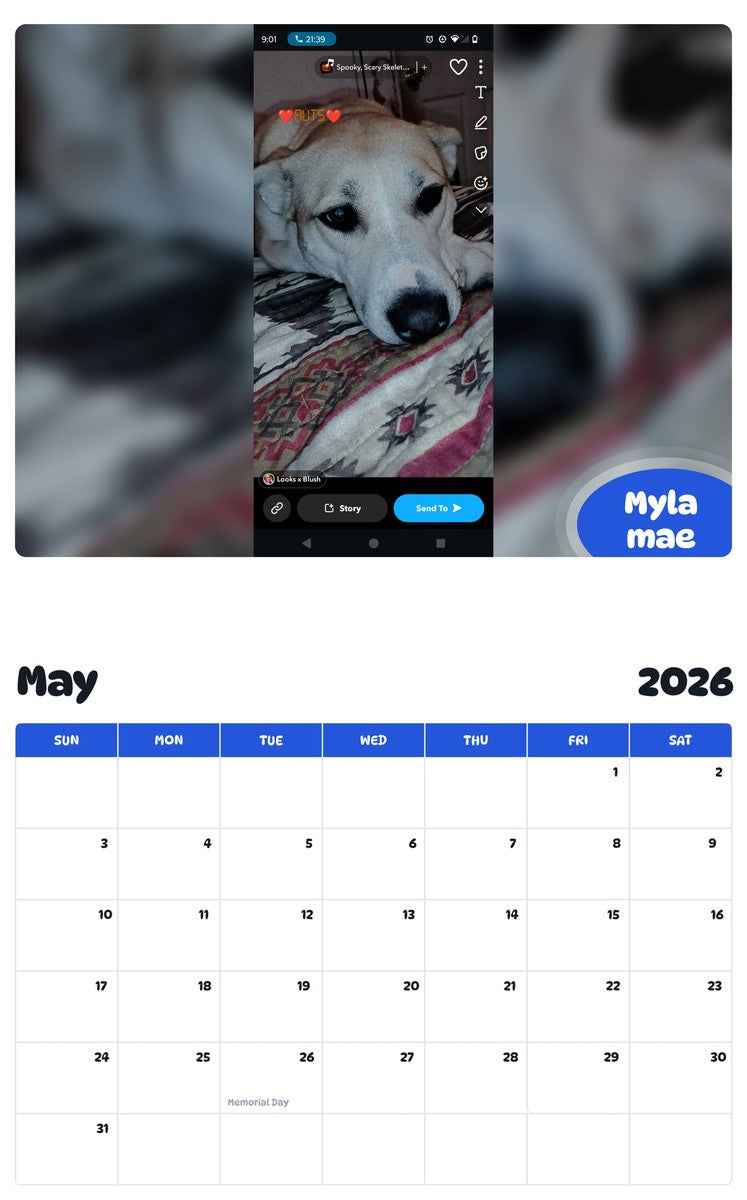 2026 - 2027 Myla mae - Pawidols Pet Calendar