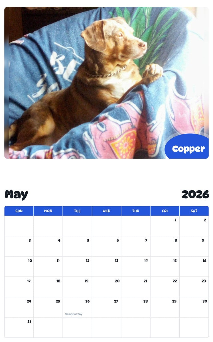 2026 - 2027 Copper - Pawidols Pet Calendar