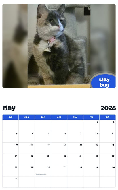 2026 - 2027 Lilly bug - Pawidols Pet Calendar