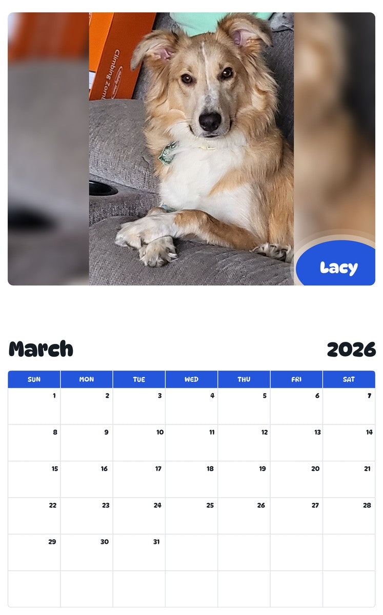November 2025 - October 2026 Lacy - Pawidols Pet Calendar