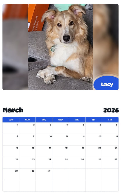 November 2025 - October 2026 Lacy - Pawidols Pet Calendar