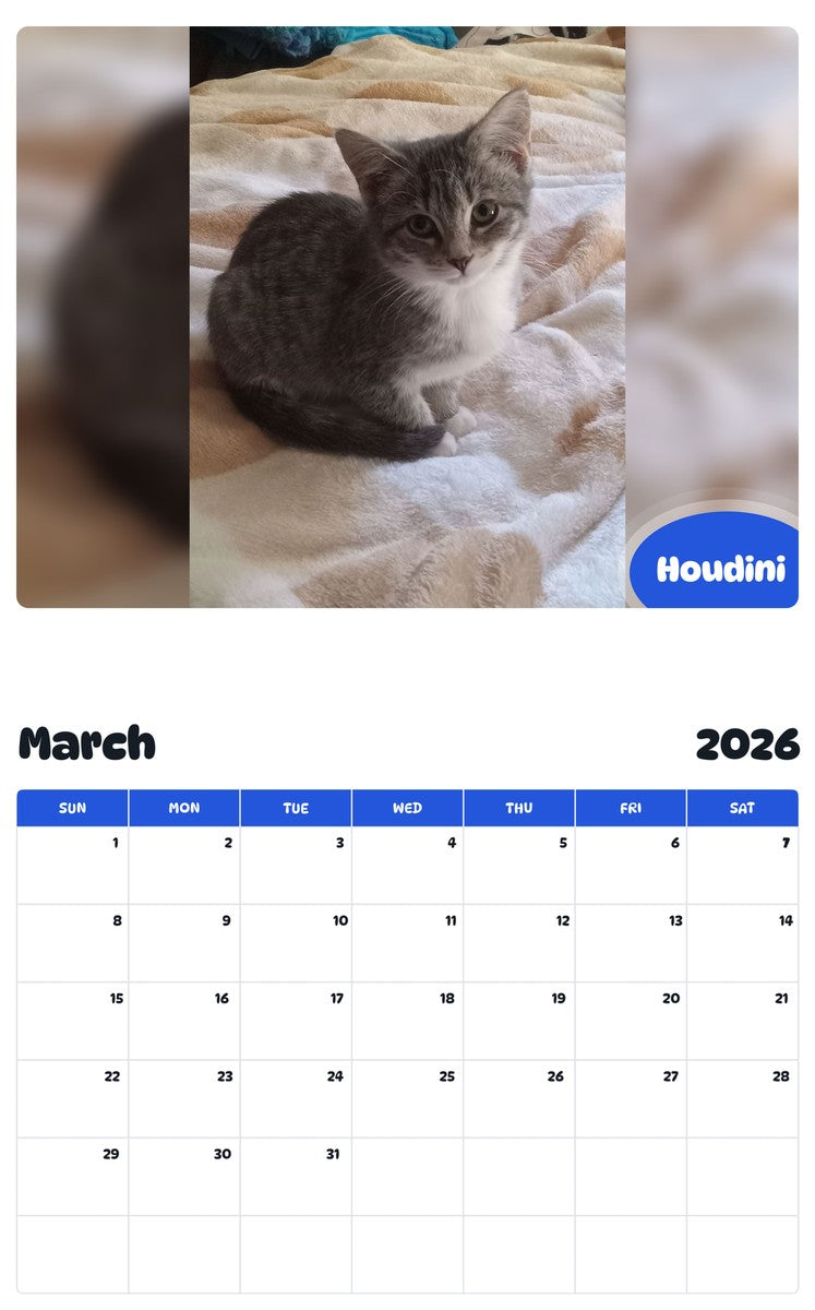 November 2025 - October 2026 Houdini - Pawidols Pet Calendar