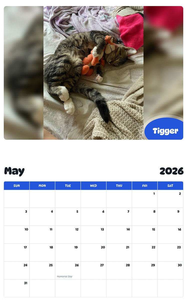 2026 - 2027 Tigger - Pawidols Pet Calendar