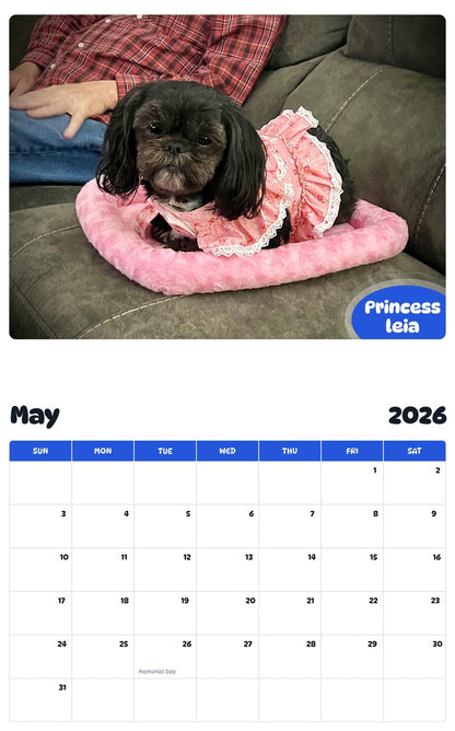 2026 - 2027 Princess leia - Pawidols Pet Calendar