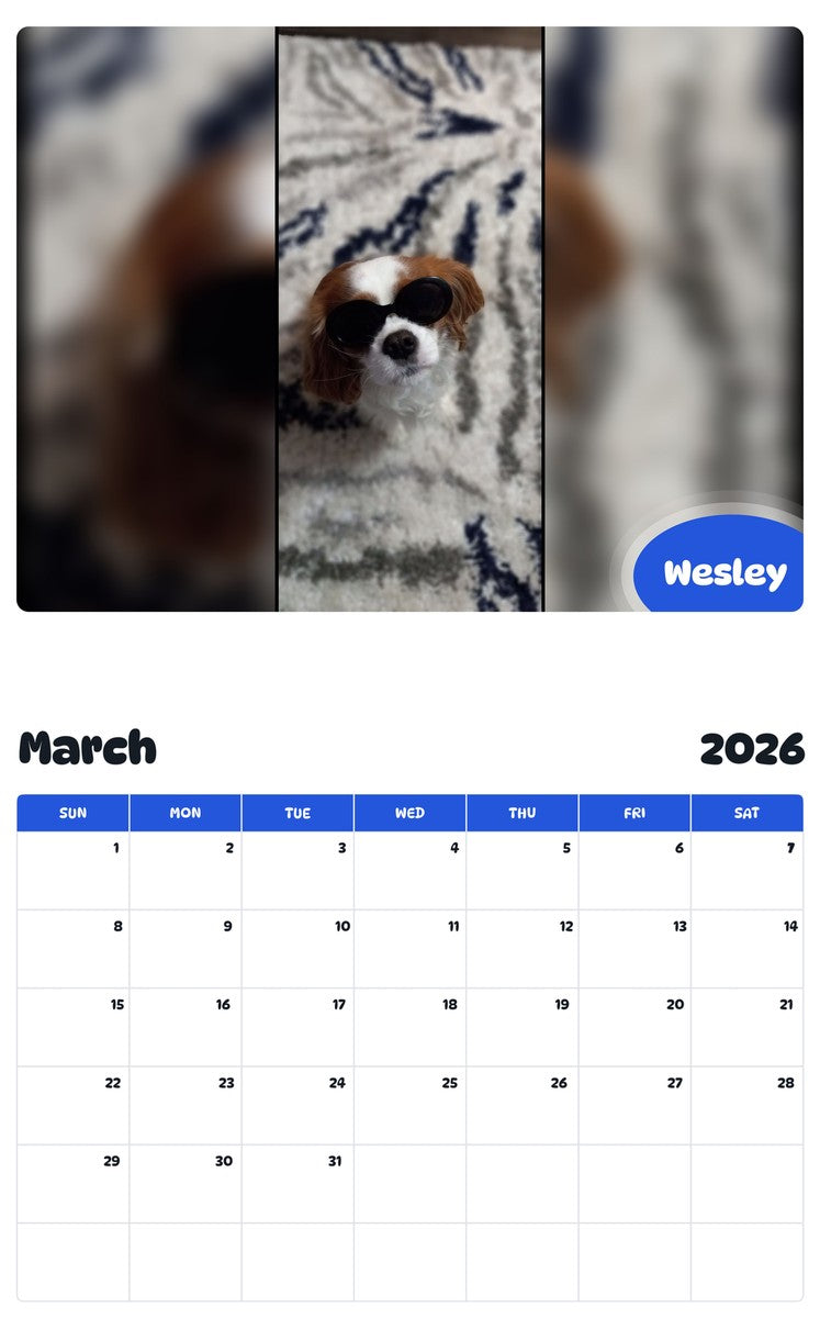 November 2025 - October 2026 Wesley - Pawidols Pet Calendar