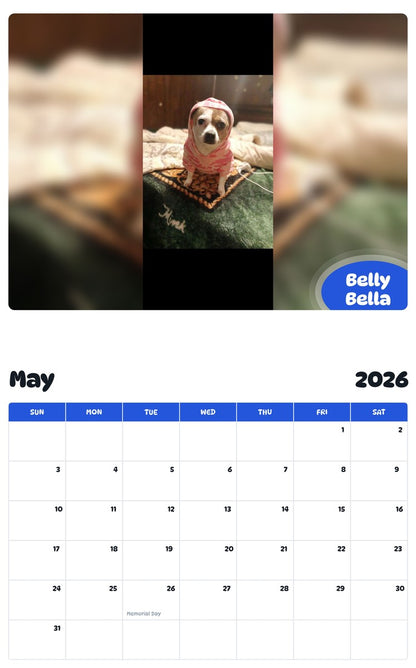 2026 - 2027 Belly Bella - Pawidols Pet Calendar
