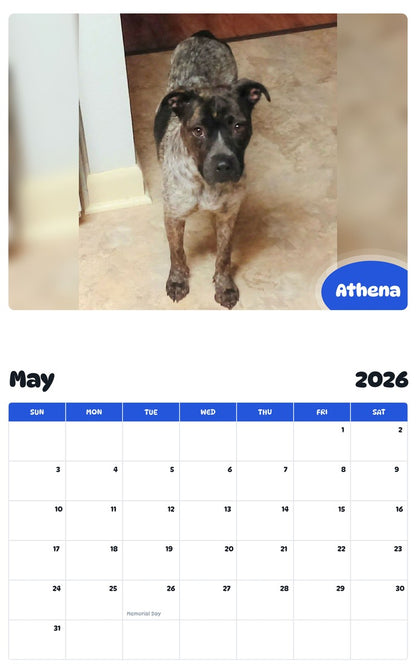 2026 - 2027 Athena - Pawidols Pet Calendar
