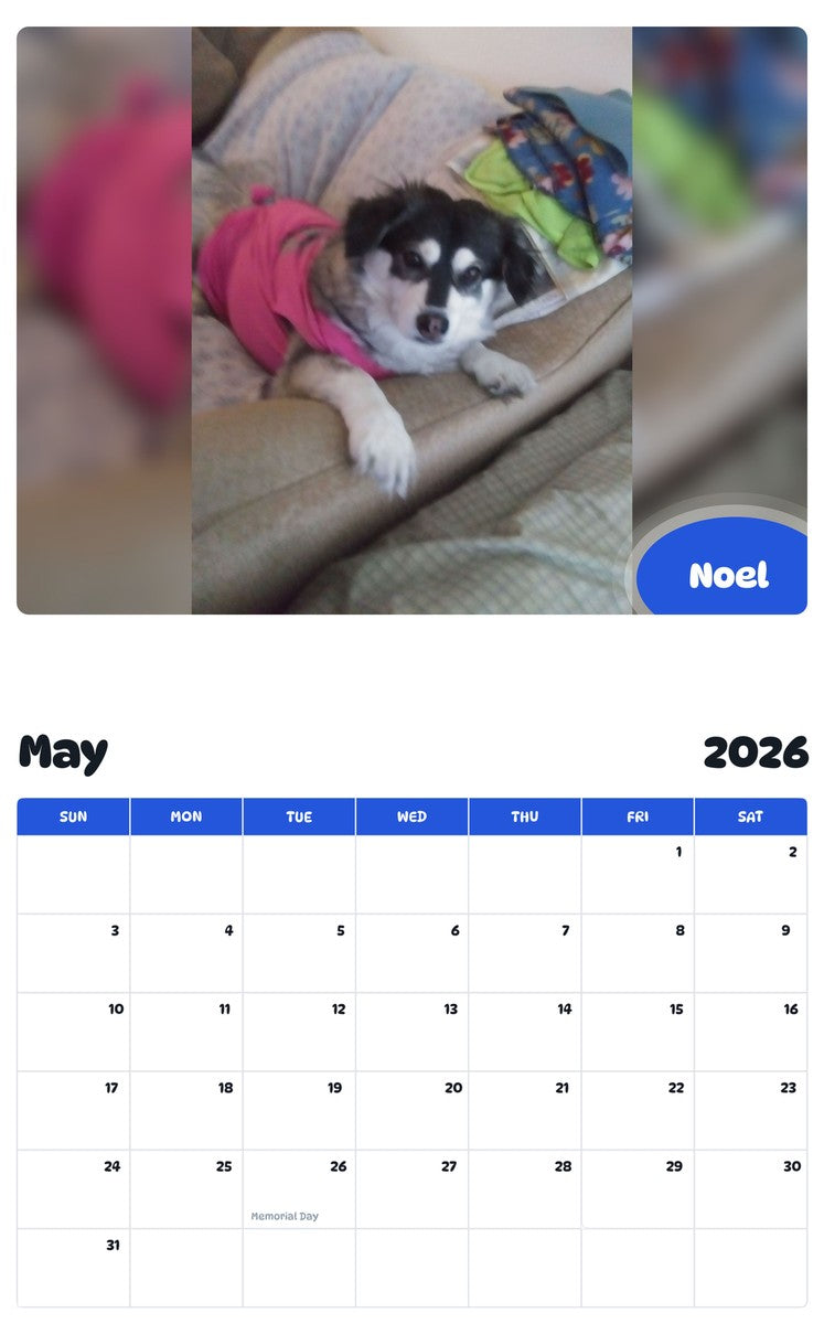2026 - 2027 Noel - Pawidols Pet Calendar