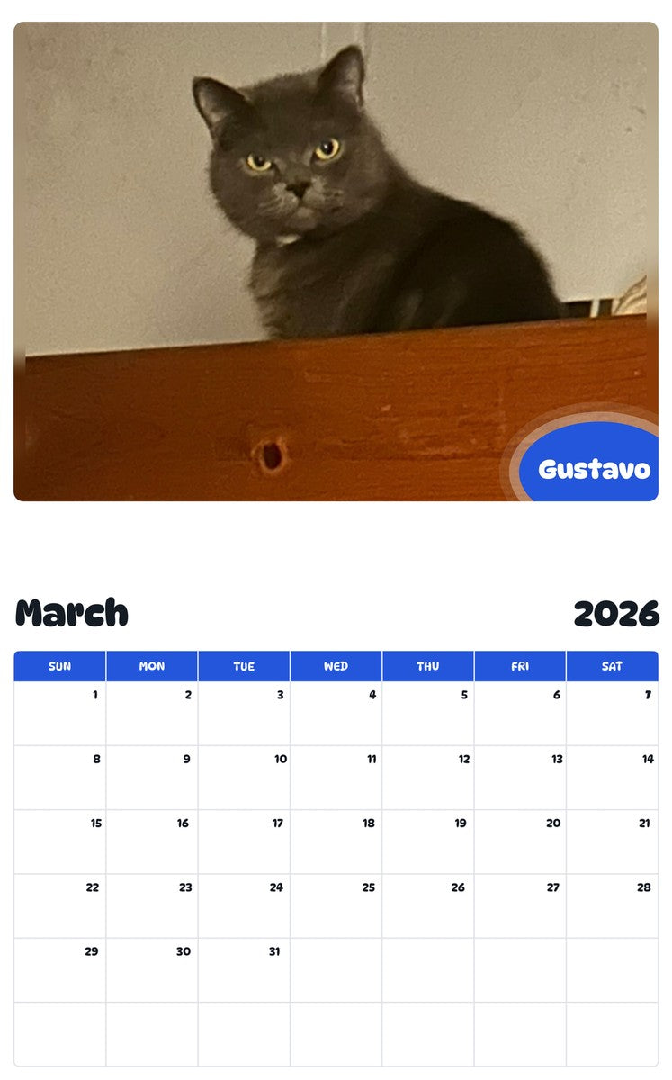 November 2025 - October 2026 Gustavo - Pawidols Pet Calendar