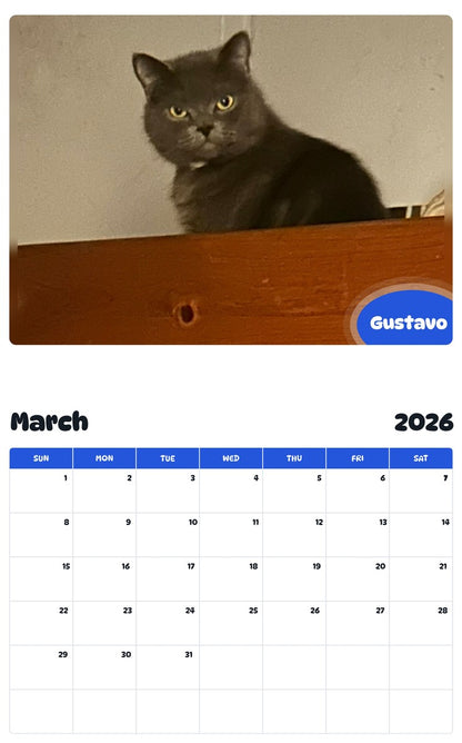 November 2025 - October 2026 Gustavo - Pawidols Pet Calendar