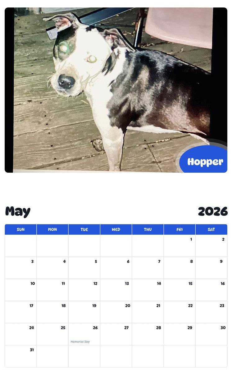 2026 - 2027 Hopper - Pawidols Pet Calendar
