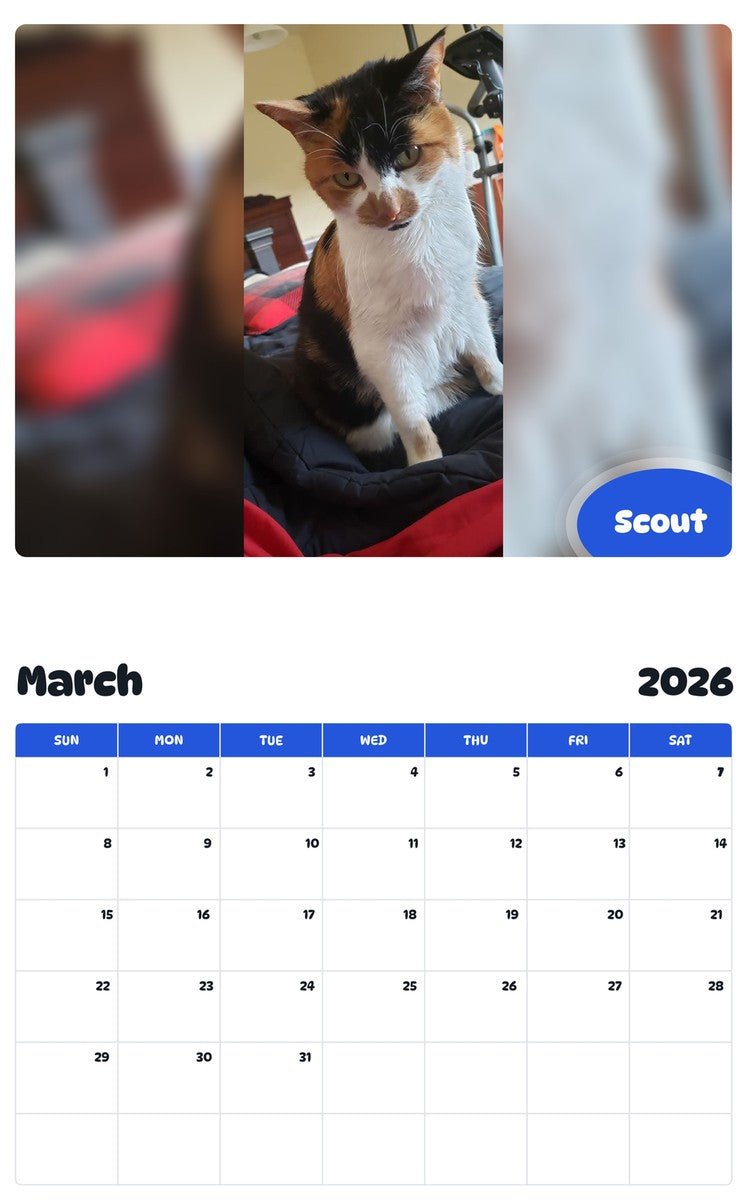 November 2025 - October 2026 Scout - Pawidols Pet Calendar