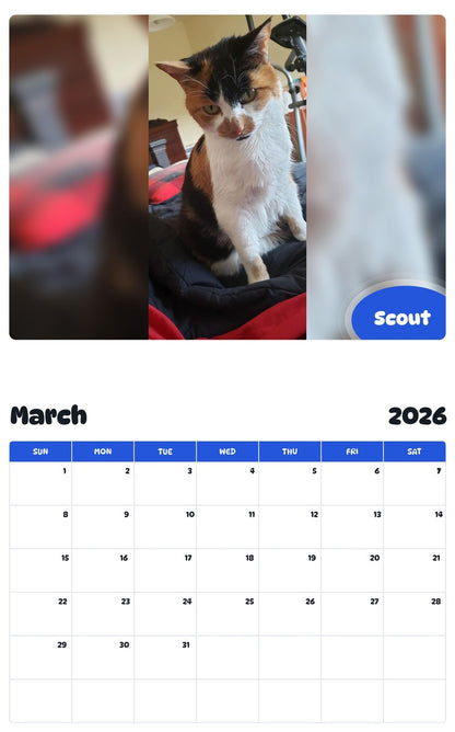November 2025 - October 2026 Scout - Pawidols Pet Calendar
