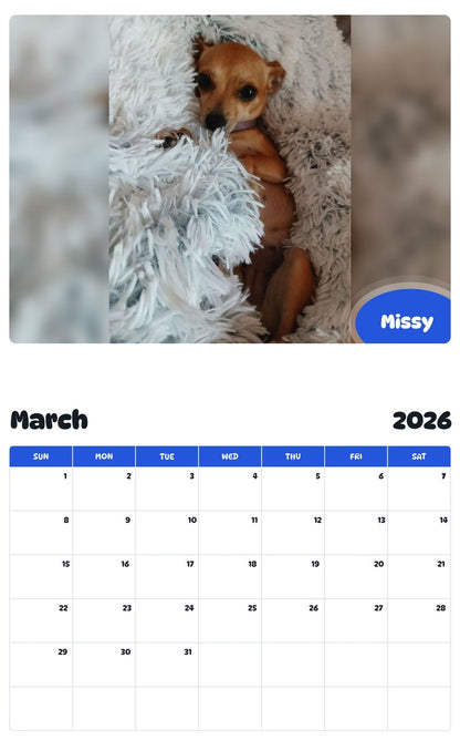 November 2025 - October 2026 Missy - Pawidols Pet Calendar