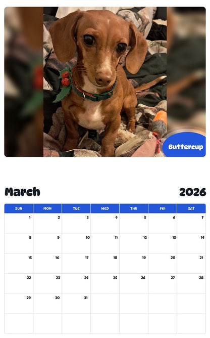 November 2025 - October 2026 Buttercup - Pawidols Pet Calendar