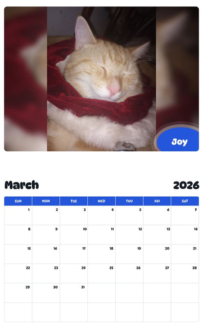 November 2025 - October 2026 Joy - Pawidols Pet Calendar