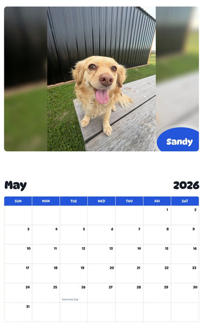 2026 - 2027 Sandy - Pawidols Pet Calendar