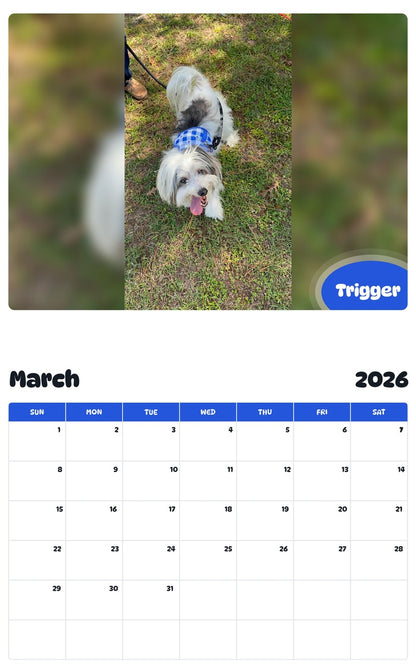 November 2025 - October 2026 Trigger - Pawidols Pet Calendar
