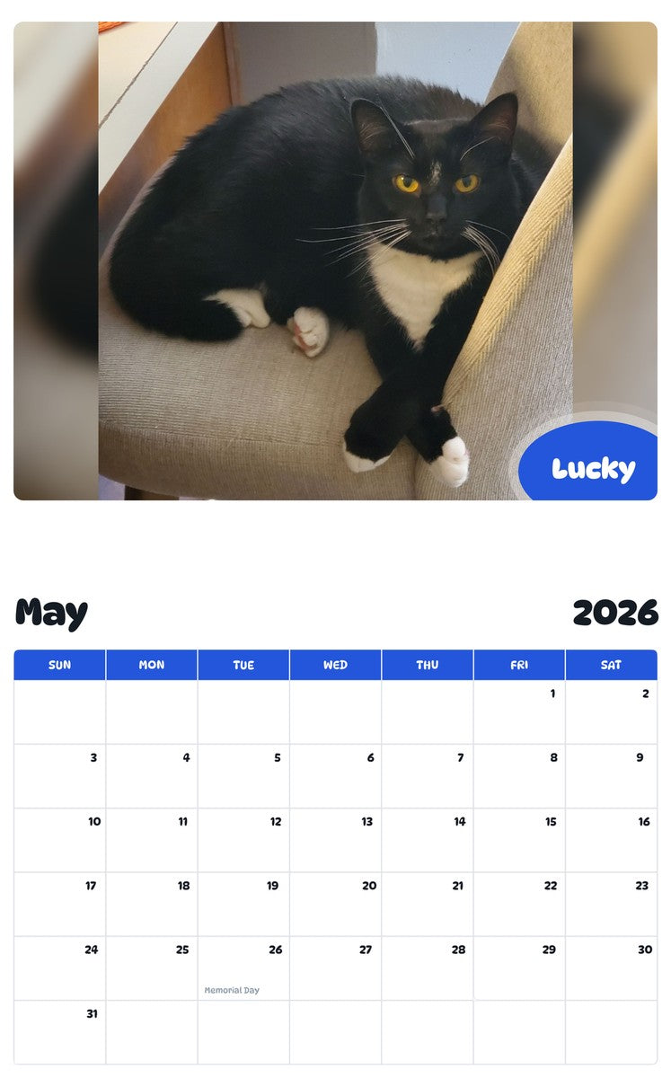 2026 - 2027 Lucky - Pawidols Pet Calendar