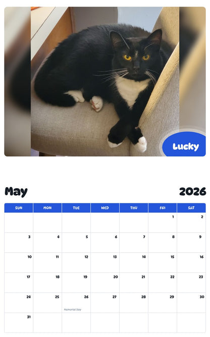 2026 - 2027 Lucky - Pawidols Pet Calendar