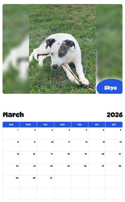 November 2025 - October 2026 Skye - Pawidols Pet Calendar