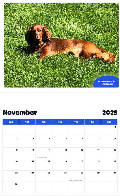 July 2025 - June 2026 Redford Maxwell McClasky - Pawidols Pet Calendar