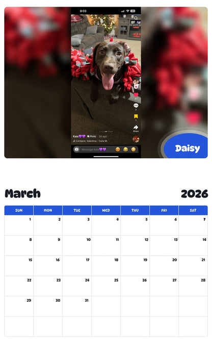 November 2025 - October 2026 Daisy - Pawidols Pet Calendar