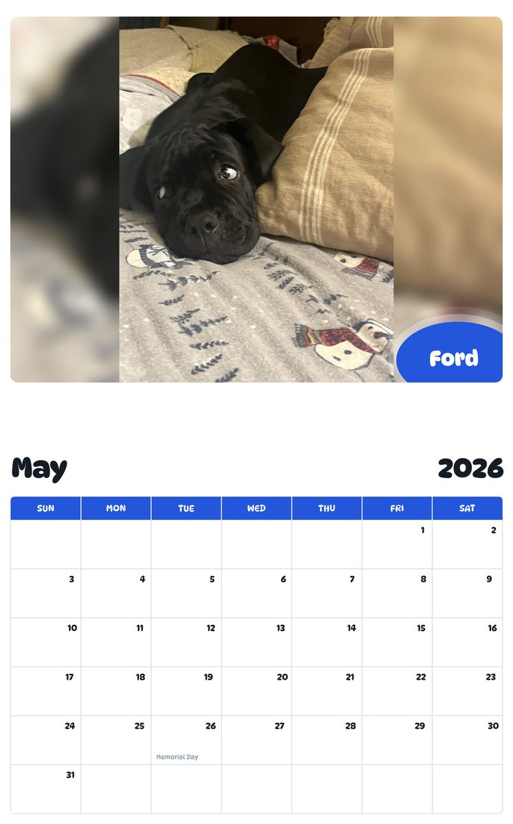 2026 - 2027 Ford - Pawidols Pet Calendar