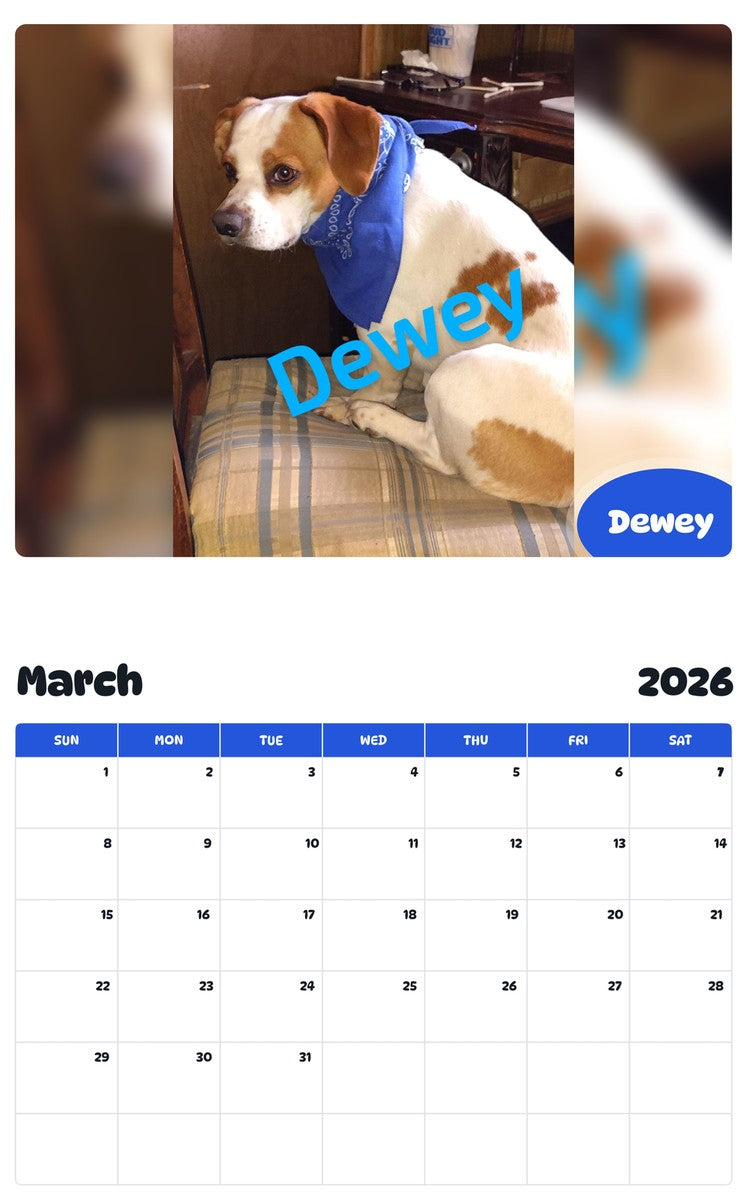 November 2025 - October 2026 Dewey - Pawidols Pet Calendar