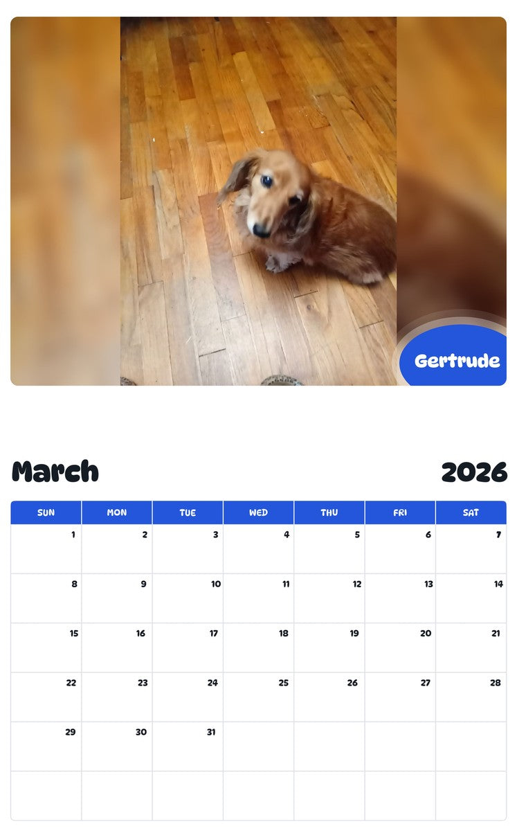 November 2025 - October 2026 Gertrude - Pawidols Pet Calendar