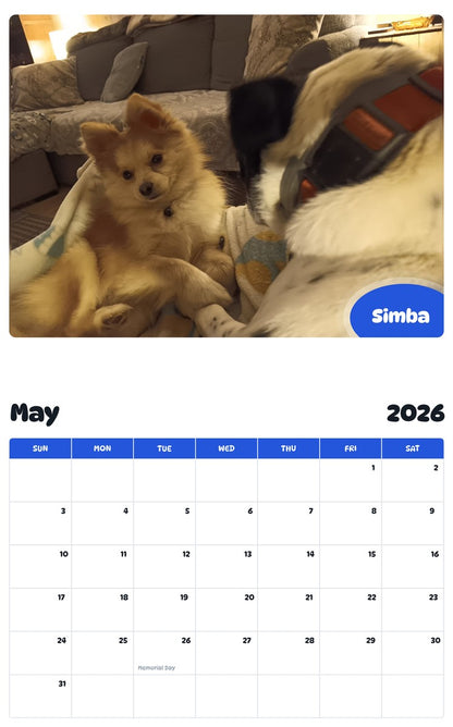 2026 - 2027 Simba - Pawidols Pet Calendar