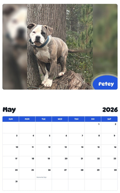2026 - 2027 Petey - Pawidols Pet Calendar